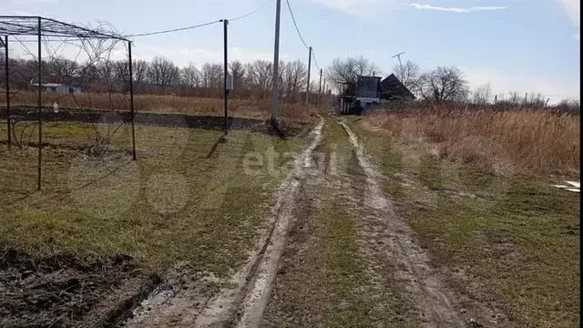 Участок 10 сот. (СНТ, ДНП) - Фото 1