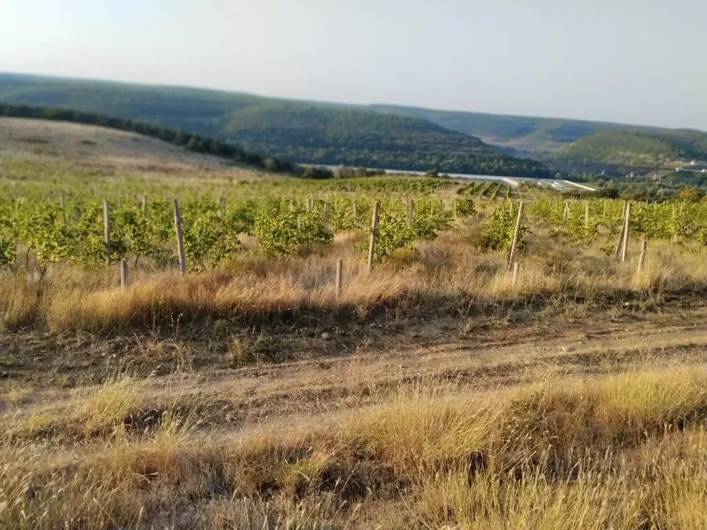 Участок в Севастополь с. Верхнесадовое, ул. Севастопольская, 1 (3.5 ... - Фото 2