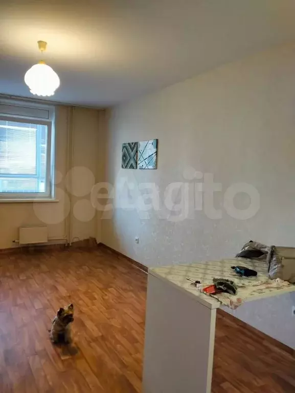 Квартира-студия, 27,7 м, 5/16 эт. - Фото 1