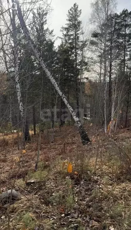 Участок в Иркутский муниципальный округ, рабочий посёлок Маркова, ... - Фото 1