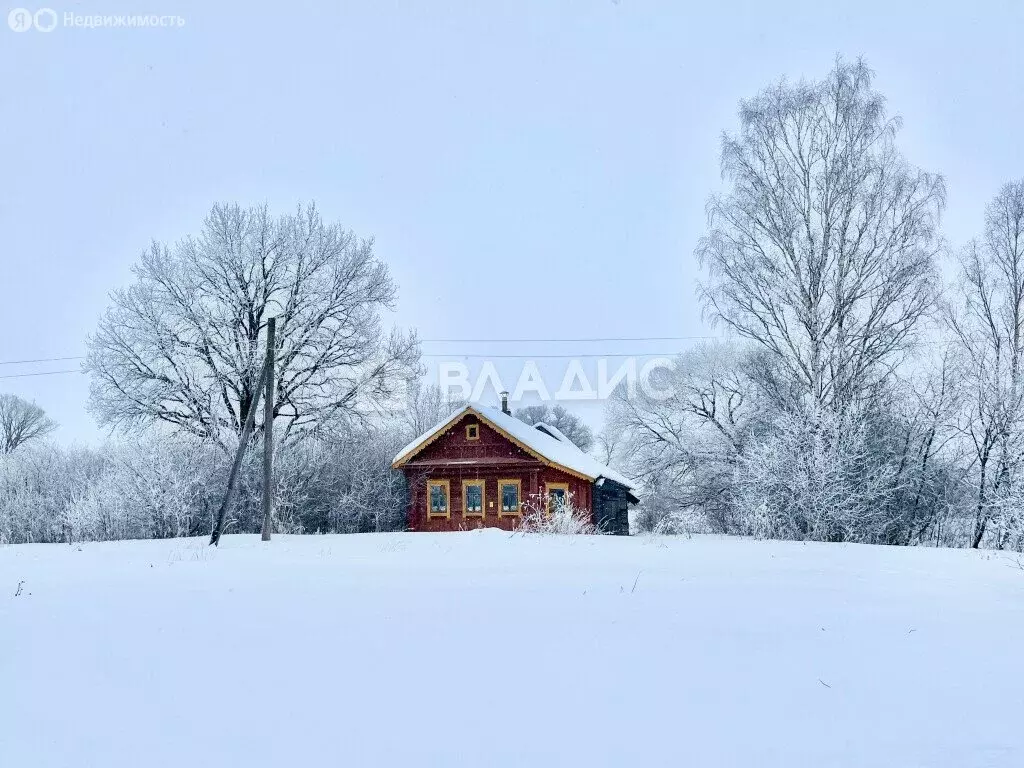 Дом в Осановецкое сельское поселение, село Владычино, 41 (50 м) - Фото 1