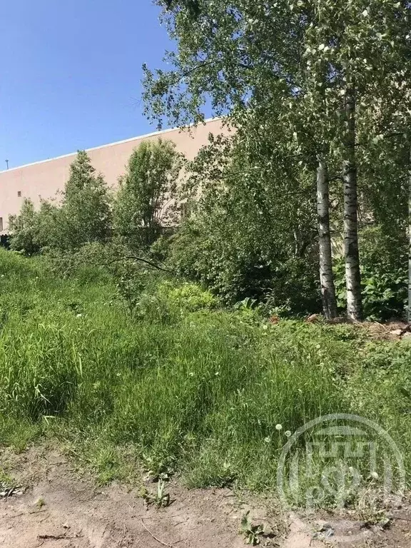 Участок в Санкт-Петербург, Санкт-Петербург, Зеленогорск Исполкомская ... - Фото 0