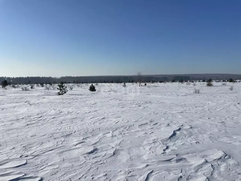 Участок в Челябинская область, Сосновский район, Солнечное с/пос, пос. ... - Фото 0