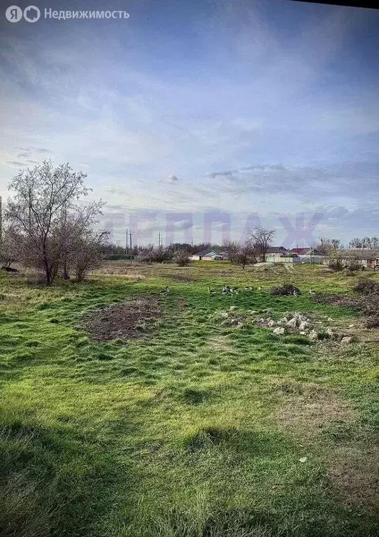 Участок в Советский, Новая улица (10 м) - Фото 2