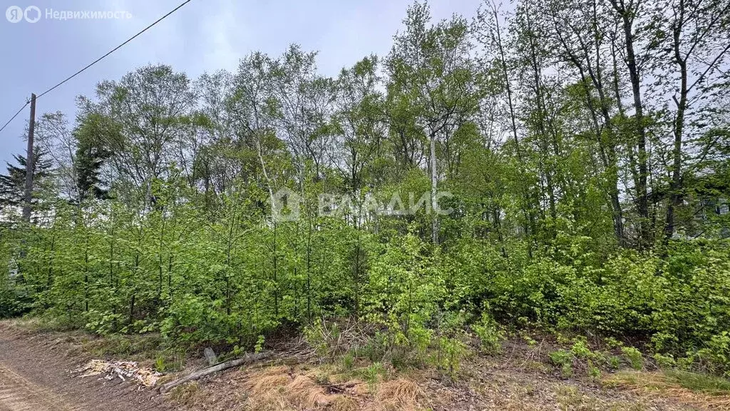 Участок в Южно-Сахалинск, ДНТ Весточка (10 м) - Фото 0