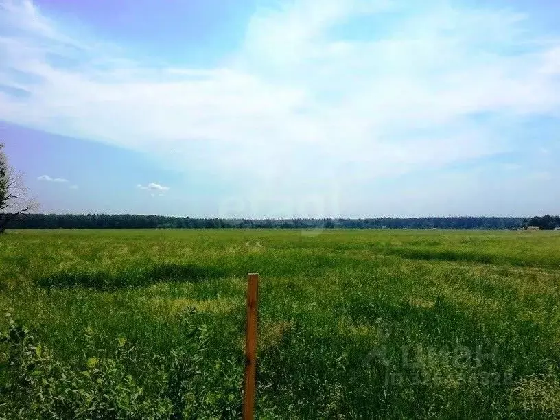 Участок в Башкортостан, Уфимский район, Дмитриевский сельсовет, д. ... - Фото 2