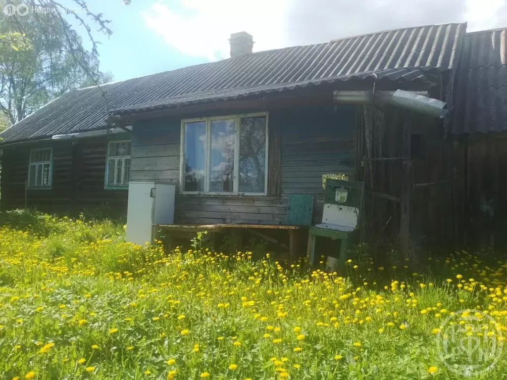 Дом в Скребловское сельское поселение, деревня Александровка (54 м) - Фото 2