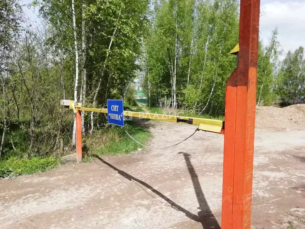 Участок в Владимирская область, Владимир Нива СНТ, 497 (5.0 сот.) - Фото 2