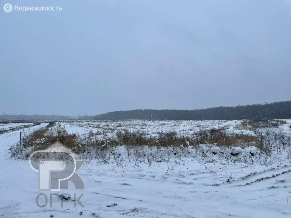 Посёлок зелёная роща московская область пушкинский район. Кп грильяж план. Зеленая роща с23 д сонино отзывы. Зеленая роща с23 д сонино отзывы. Зелёный роща в сонино дамадедова.