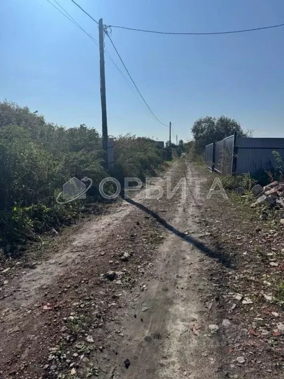 Участок в Тюменская область, Тюмень Рябинка-2 садовое товарищество, ... - Фото 1