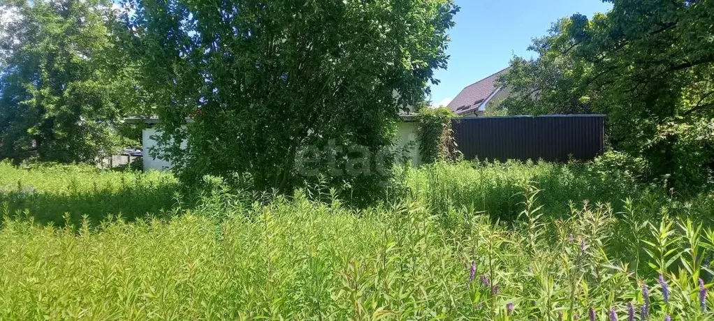 Участок в Калининградская область, Калининград Южный СНТ,  (6.0 сот.) - Фото 2