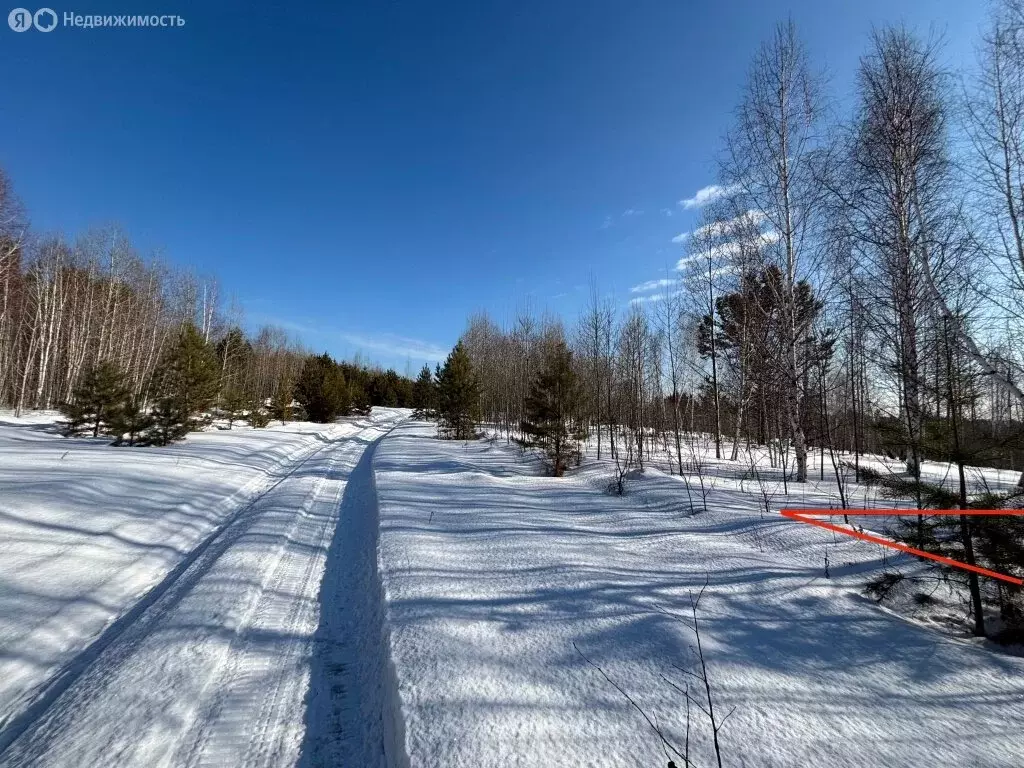 Участок в Баклашинское муниципальное образование, посёлок Пионерск ... - Фото 1