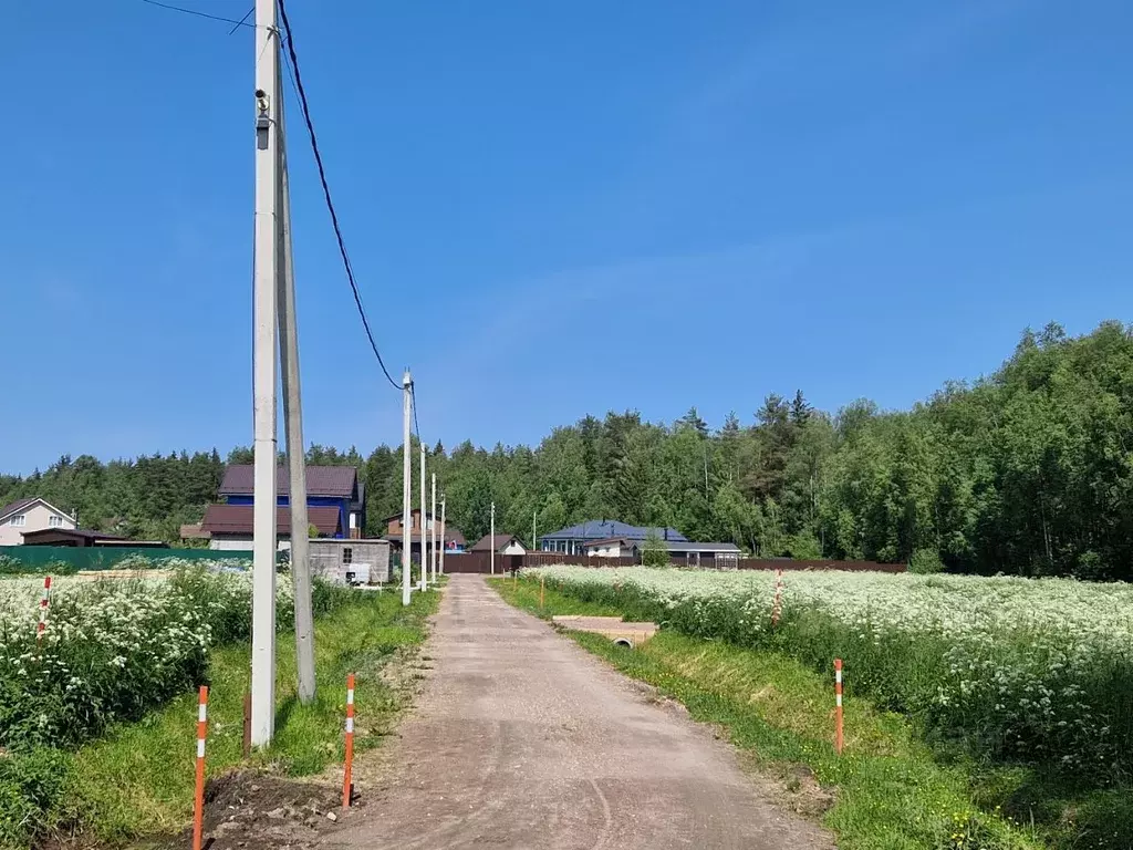 Участок в Ленинградская область, Всеволожский район, Колтушское ... - Фото 0