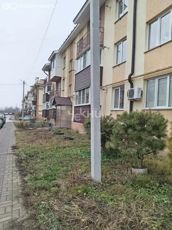 1-комнатная квартира: Городец, Озёрная улица, 11 (35.6 м) - Фото 2