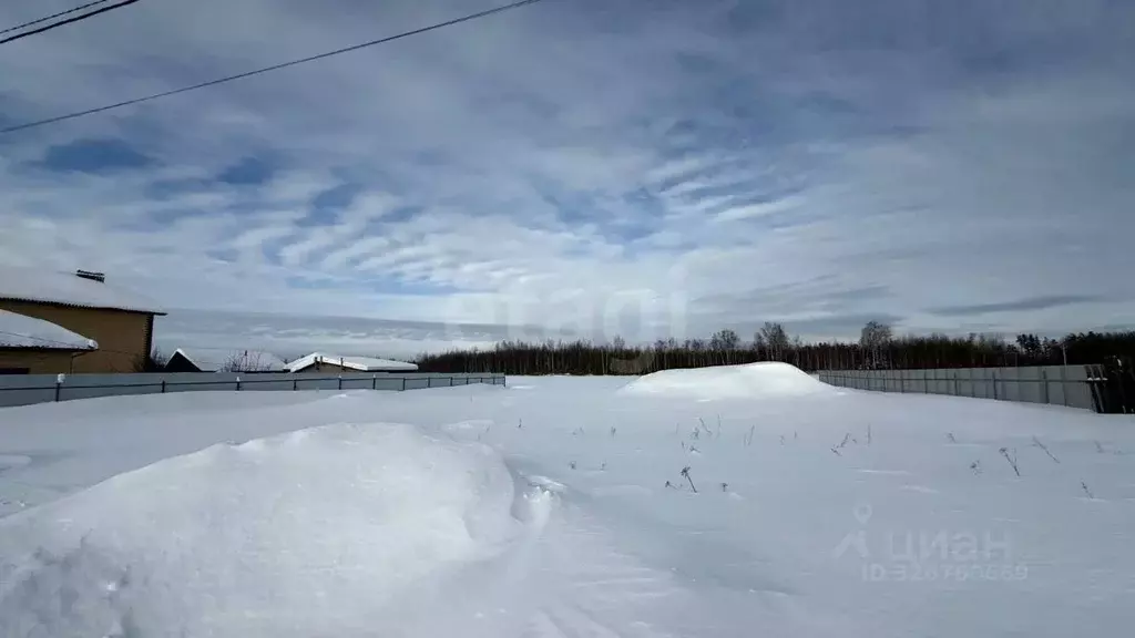 Участок в Нижегородская область, Выкса городской округ, с. Борковка ... - Фото 2