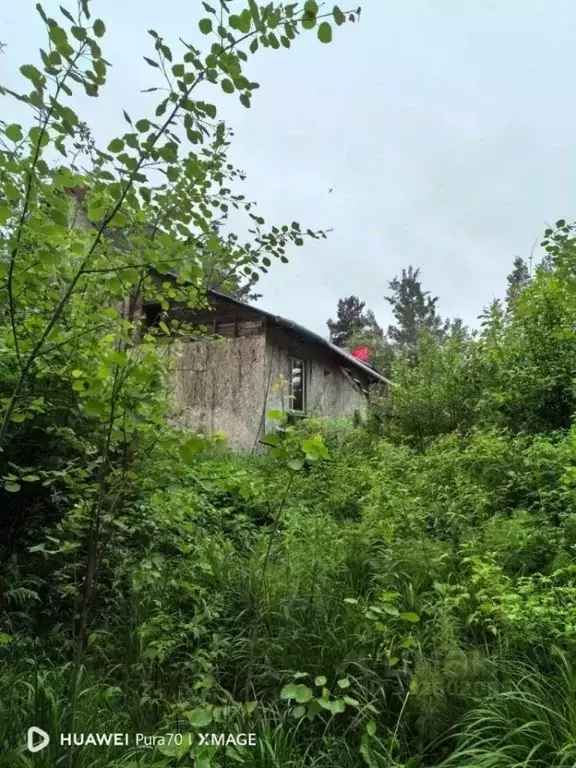 Дом в Ленинградская область, Выборг ул. Твардовского, 11 (75 м) - Фото 2
