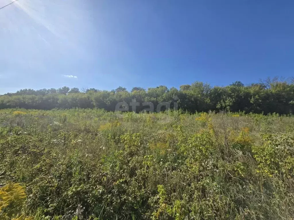 Участок в Воронежская область, Семилукский район, с. Девица, Поречье-2 ... - Фото 1