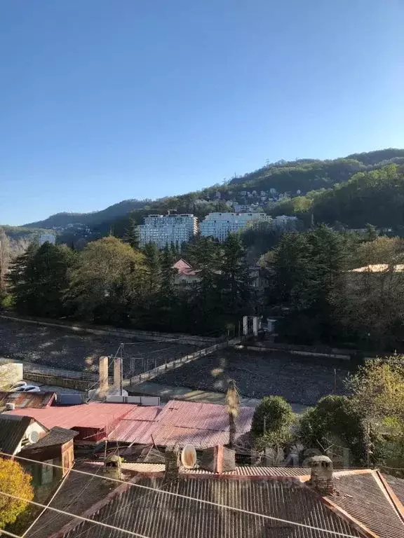 1-к кв. Краснодарский край, Сочи Привольный пер., 8/1 (30.0 м) - Фото 1