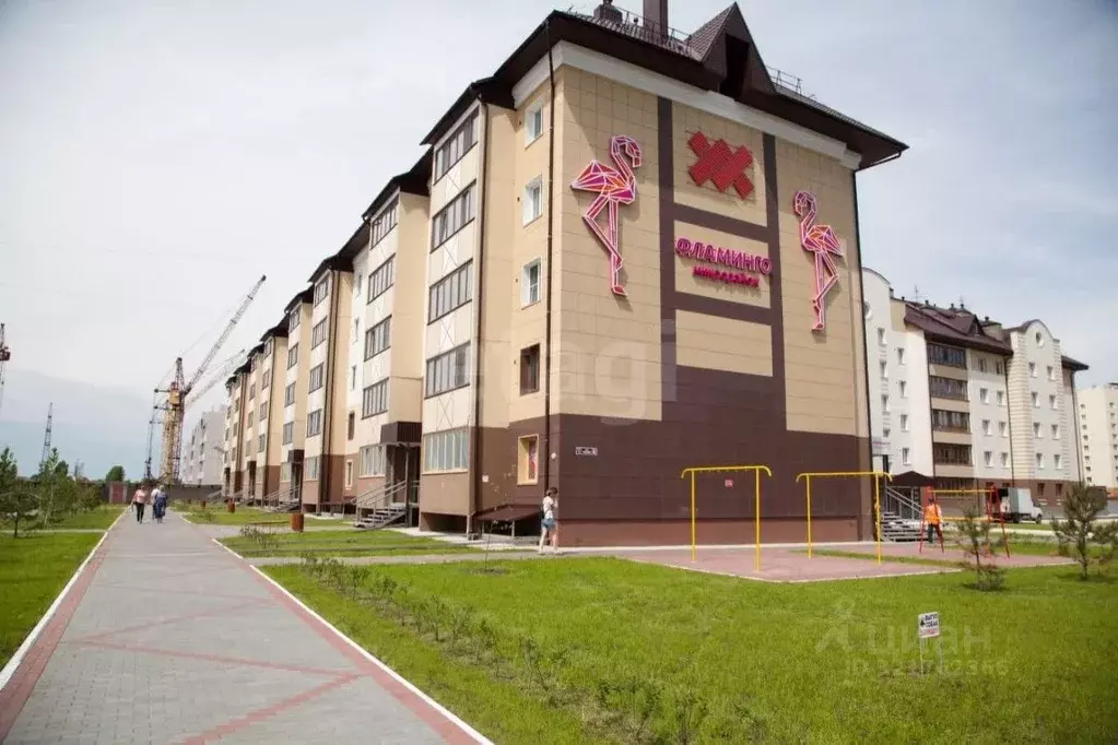 Помещение свободного назначения в Новосибирская область, Новосибирский ... - Фото 1