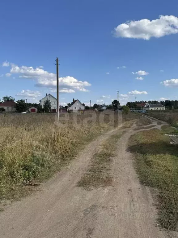 Участок в Воронежская область, Рамонский район, Новоживотинновское ... - Фото 1