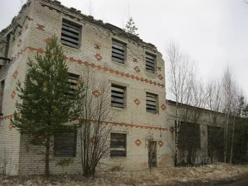 Помещение свободного назначения в Ярославская область, Мышкинский ... - Фото 1