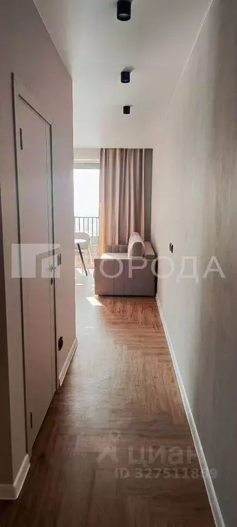 1-к кв. Новосибирская область, Новосибирск Красный просп., 236 (33.0 ... - Фото 2