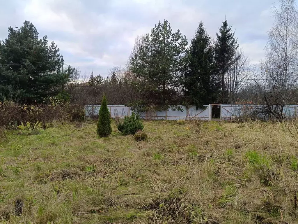 Участок в Московская область, Солнечногорск городской округ, д. ... - Фото 2