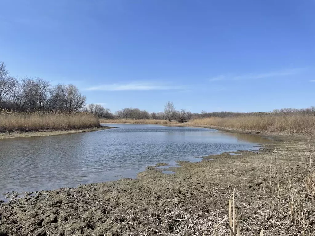 Участок в Волгоградская область, Среднеахтубинский район, Куйбышевское ... - Фото 1