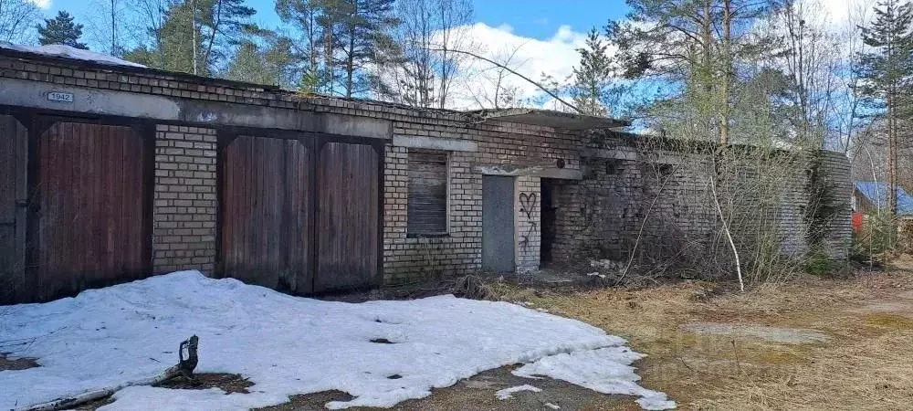 Помещение свободного назначения в Вологодская область, Кадуйский ... - Фото 1