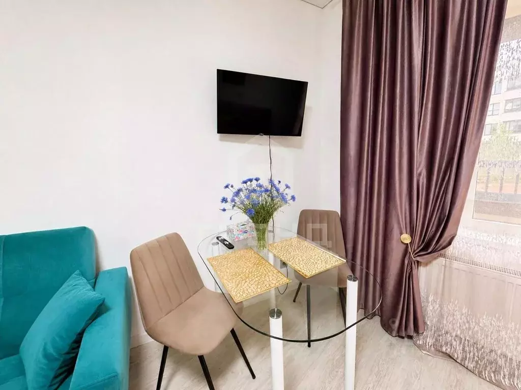 Студия Санкт-Петербург просп. Ветеранов, 206 (26.0 м) - Фото 2