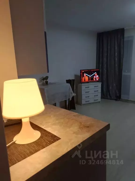 Студия Башкортостан, Уфа ул. Евгения Столярова, 2 (45.0 м) - Фото 2