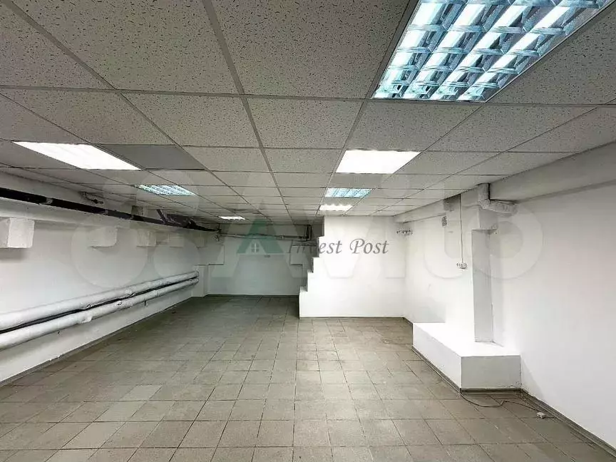 Помещение на цоколе, 216.5 м - Фото 1