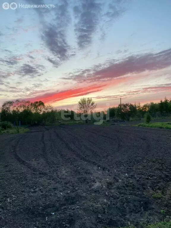 Участок в село Тополево, СНТ 19 Клетка (7.4 м) - Фото 0