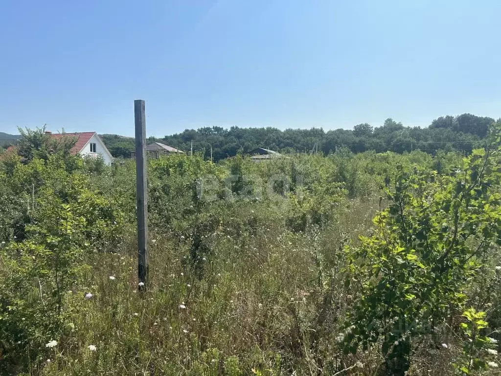 Участок в Краснодарский край, Новороссийск городской округ, ... - Фото 1