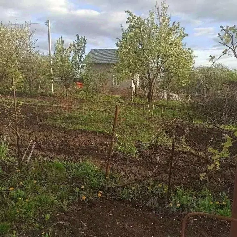 Участок в Белгородская область, Белгородский муниципальный округ, ... - Фото 1