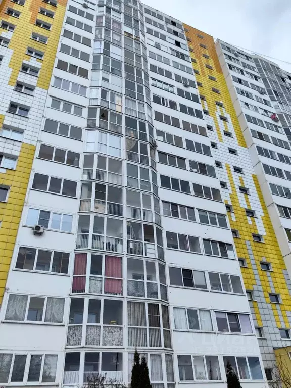 Студия Московская область, Солнечногорск городской округ, Голубое пгт ... - Фото 1