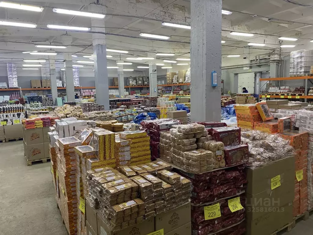 Помещение свободного назначения в Архангельская область, Котлас ш. ... - Фото 2