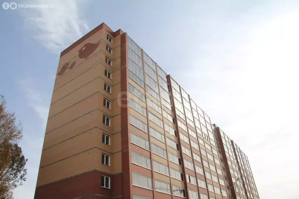 2-комнатная квартира: Новосибирск, улица Юности, 5 (56.5 м) - Фото 2