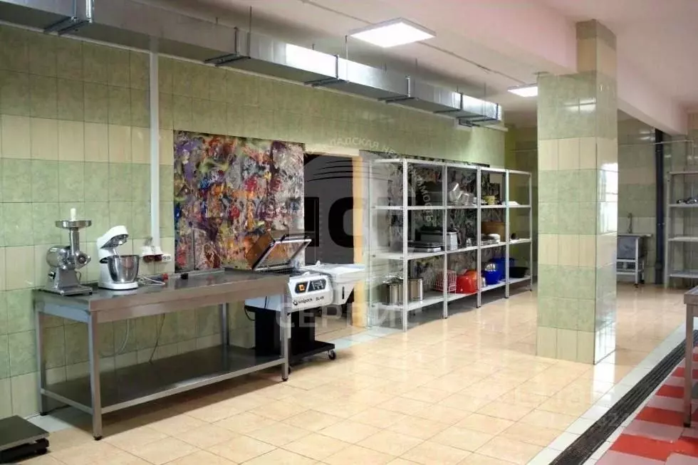 Производственное помещение в Московская область, Богородский городской ... - Фото 1