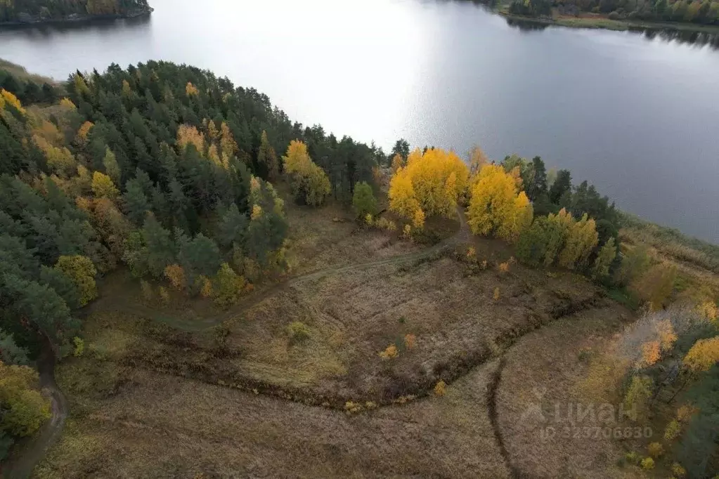 Участок в Карелия, Сортавальский муниципальный округ, пос. ... - Фото 2