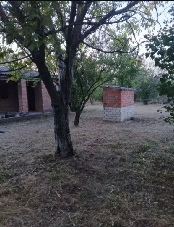 Участок в Краснодарский край, Тихорецк Тихорецкого машиностроительного ... - Фото 1