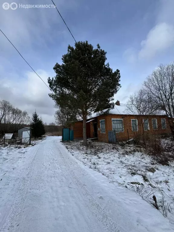 Дом в Тульская область, городской округ Алексин, село Сотино (52 м) - Фото 1