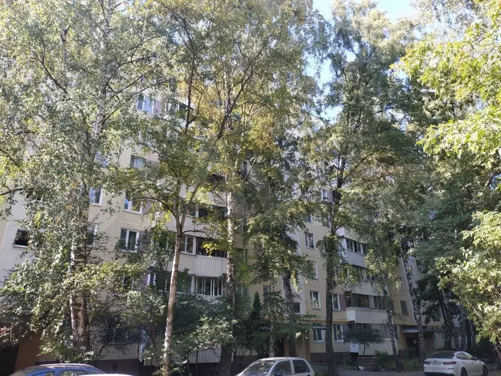 2-к. квартира, 47 м, 9/9 эт. - Фото 1