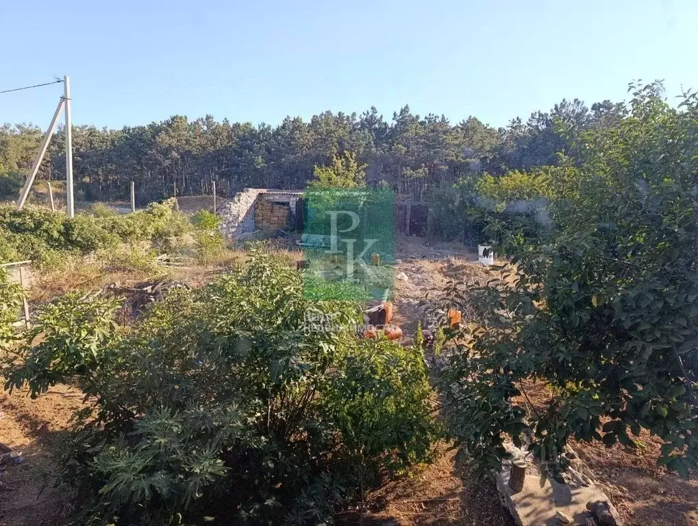 Участок в Севастополь Гагаринский муниципальный округ,  (5.0 сот.) - Фото 1