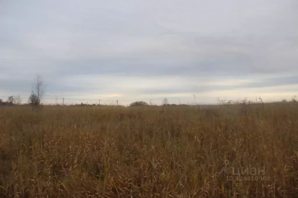 Участок в Московская область, Шаховская муниципальный округ, с. Белая ... - Фото 1