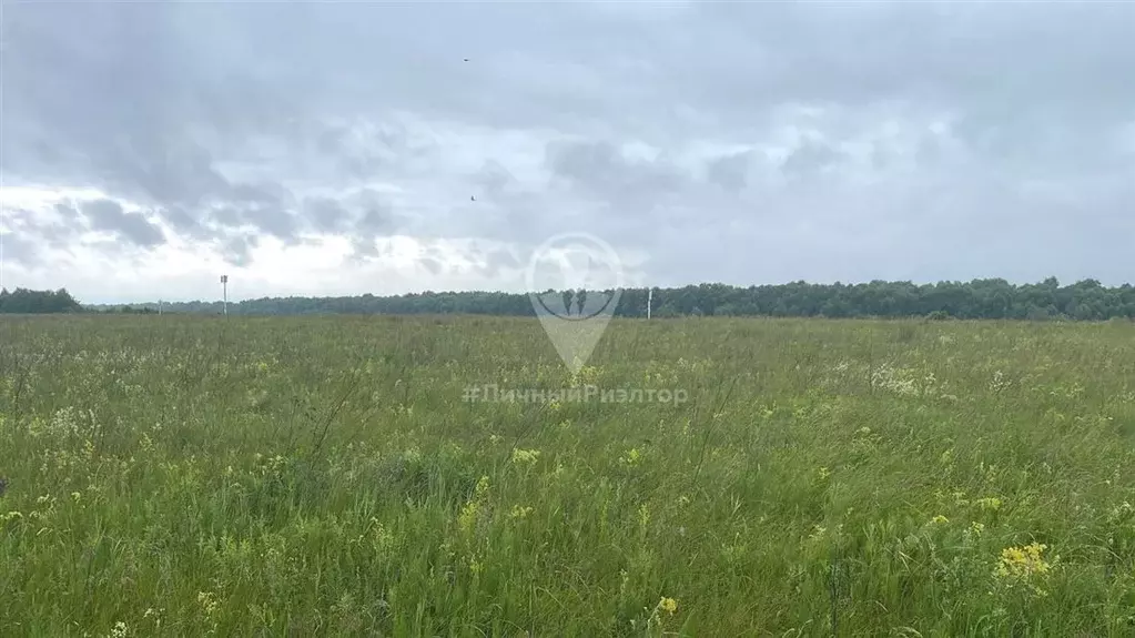 Участок в Рязанская область, Шиловский район, Задубровское с/пос, с. ... - Фото 1