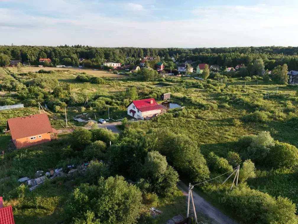 Участок в Калининградская область, Зеленоградск ул. Золотистая (7.0 ... - Фото 0