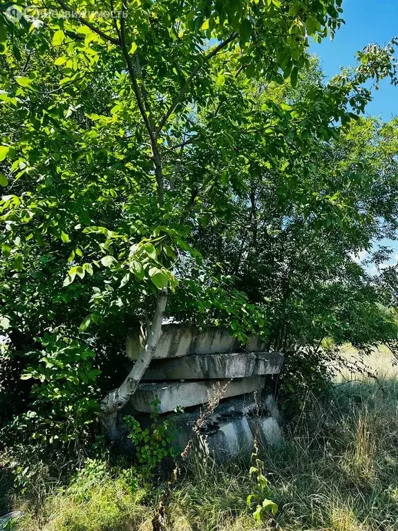 Участок в Лабинск, садоводческое товарищество Рассвет, улица ... - Фото 0