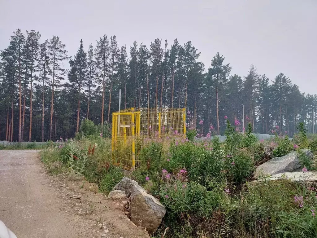 участок в свердловская область, сысертский городской округ, д. ключи, . - Фото 1