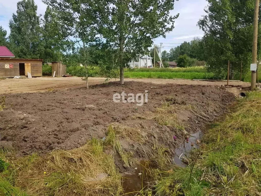 Участок в Ленинградская область, Приозерский район, Мельниковское ... - Фото 0